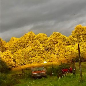 Meet your Posher, Casey